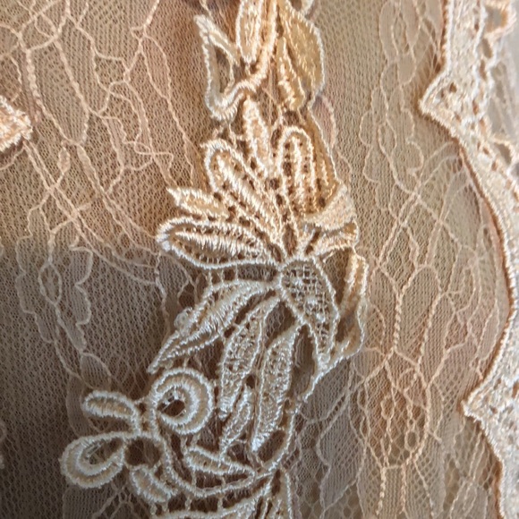 Lace Top - Picture 2 of 4